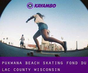 Pukwana Beach skating (Fond du Lac County, Wisconsin)