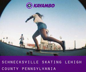 Schnecksville skating (Lehigh County, Pennsylvania)