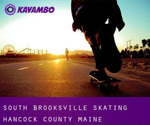 South Brooksville skating (Hancock County, Maine)