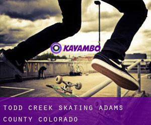 Todd Creek skating (Adams County, Colorado)
