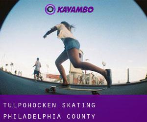 Tulpohocken skating (Philadelphia County, Pennsylvania)